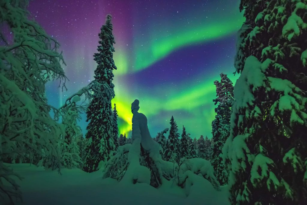 LAPPONIA SVEDESE beautiful northern lights over the head in lapland